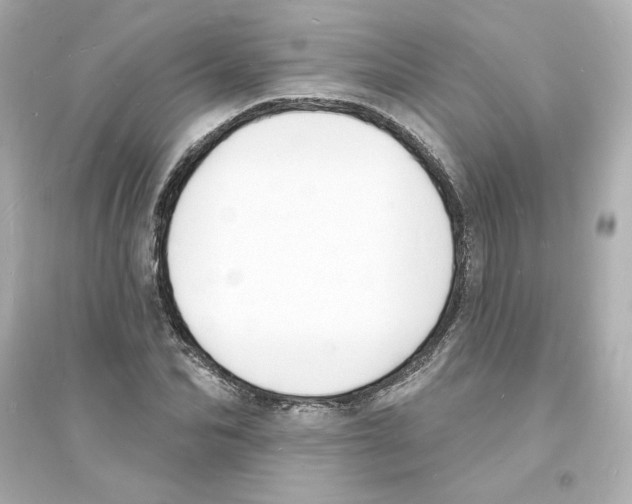 X0000093600974200711121144