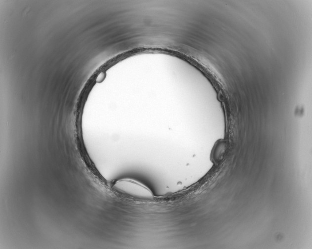 X0000093600976200711121144