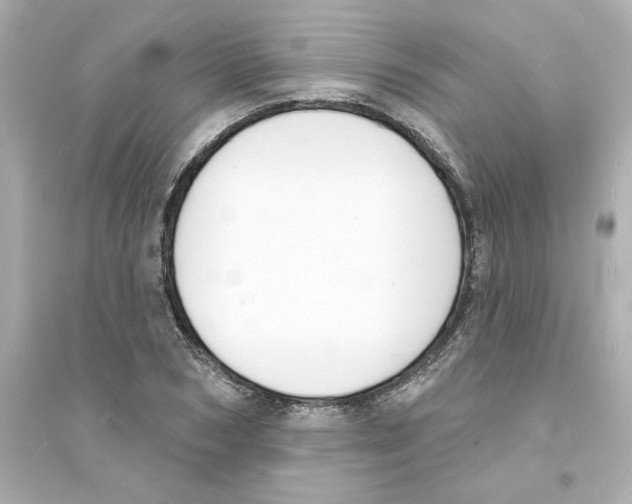 X0000093600978200711121144