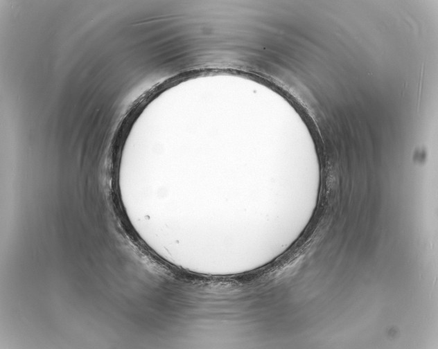 X0000093600979200711121144