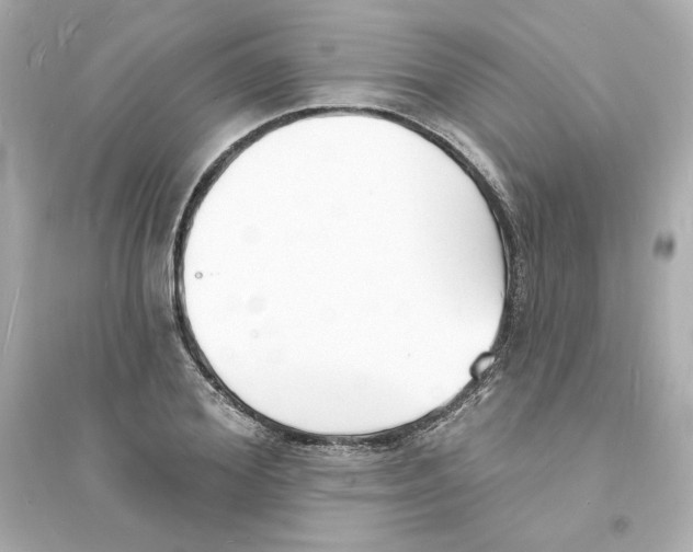 X0000093600980200711121144