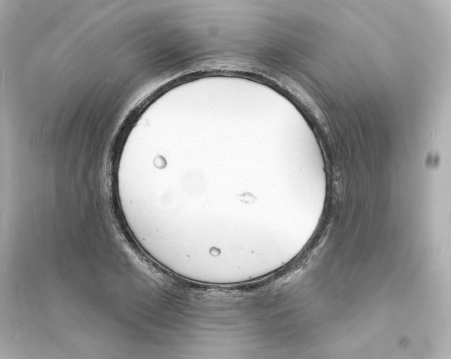 X0000093600981200711121144