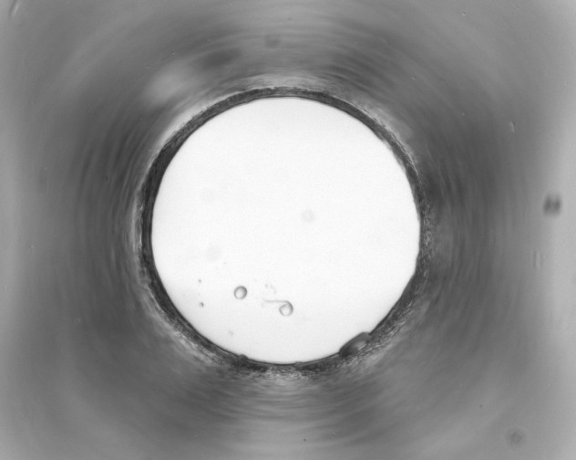 X0000093600983200711121144