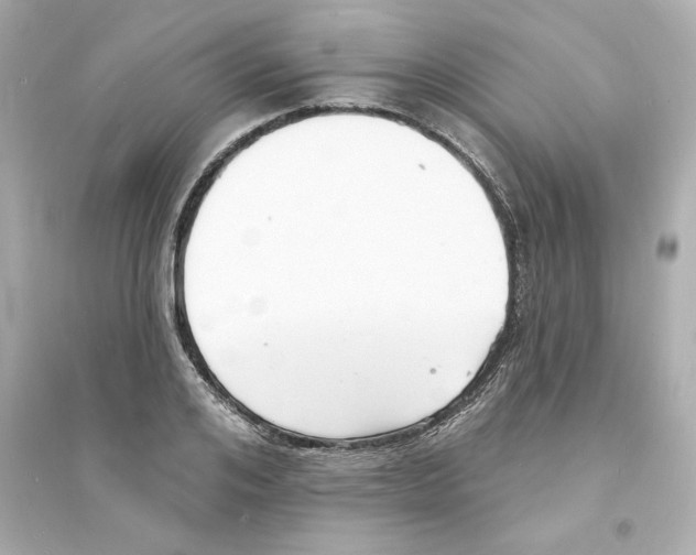 X0000093600984200711121144