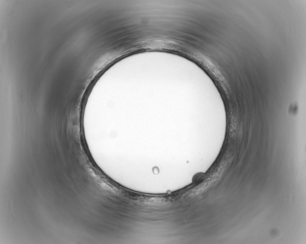 X0000093600986200711121144