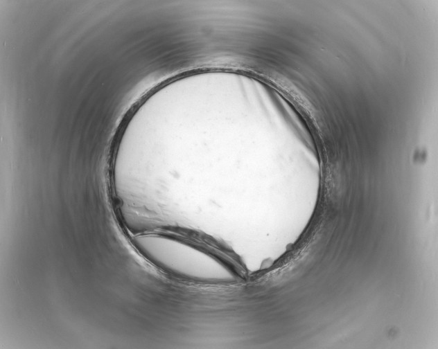 X0000093600989200711121144