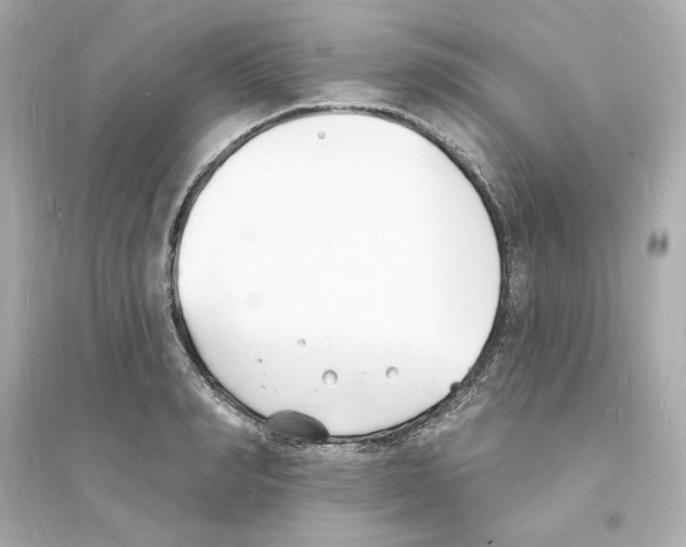 X0000093600990200711121144