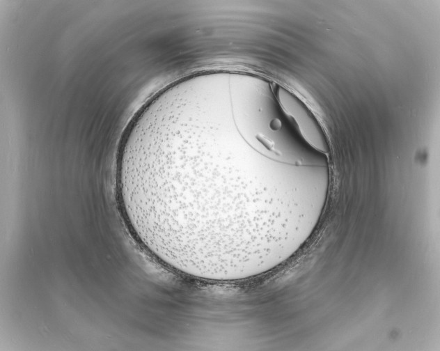 X0000093600994200711121144