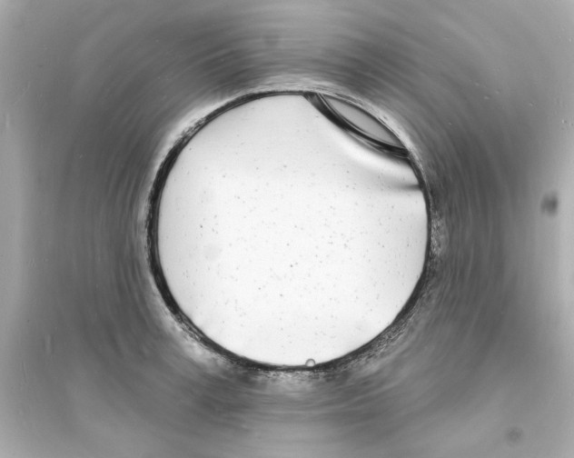 X0000093600995200711121144