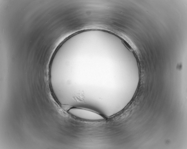 X0000093600996200711121144