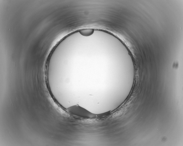 X0000093600998200711121144