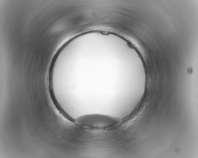 X0000093600999200711121144