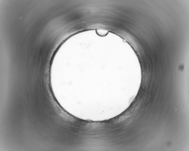 X0000093601000200711121144