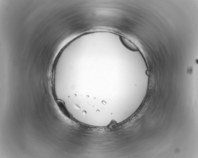 X0000093601003200711121144