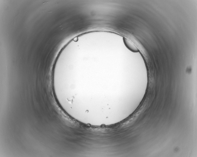 X0000093601004200711121144