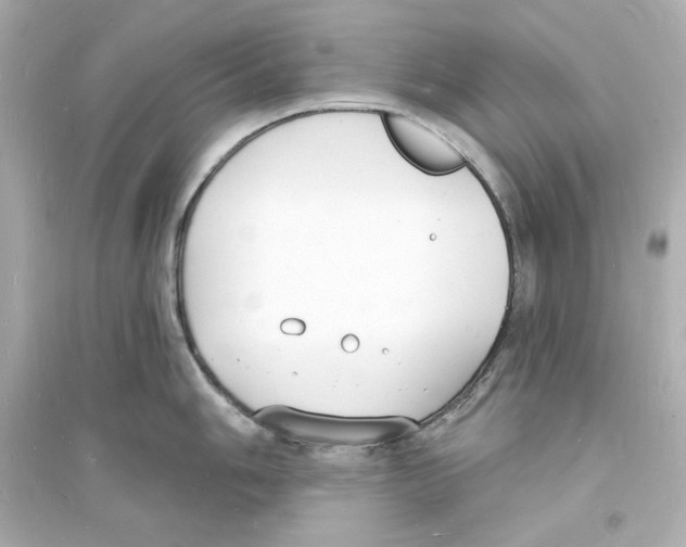 X0000093601006200711121144