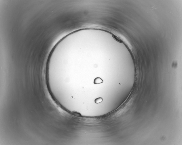 X0000093601007200711121144