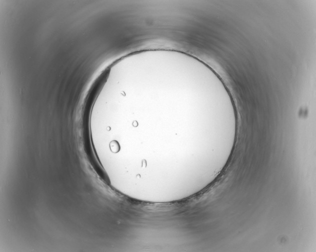 X0000093601008200711121144