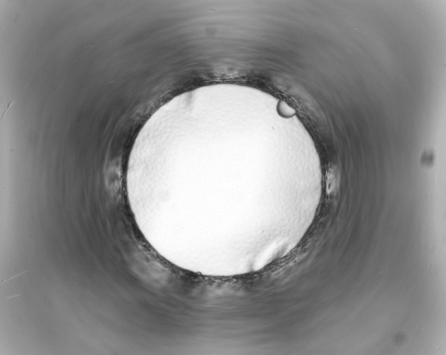 X0000093601011200711121143