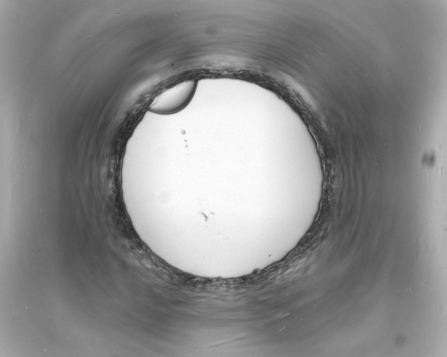 X0000093601016200711121143