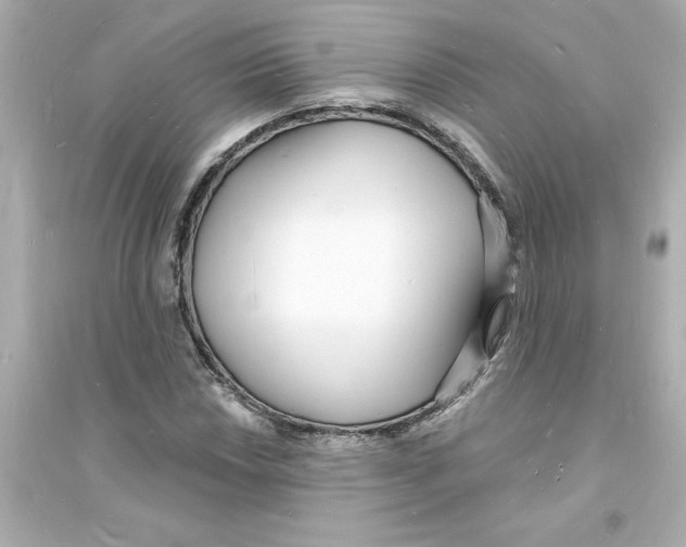 X0000093601018200711121143