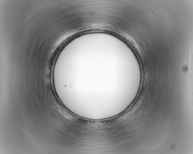 X0000093601019200711121143