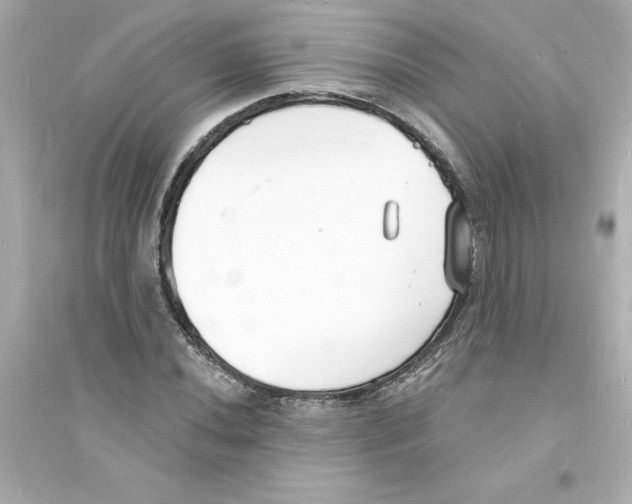 X0000093601020200711121143