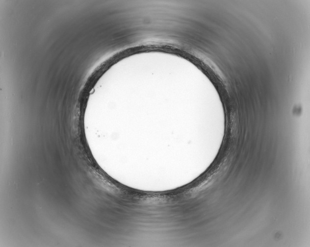 X0000093601021200711121144