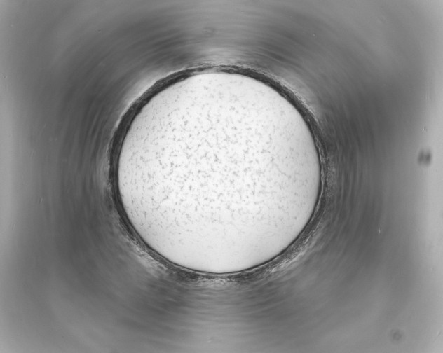 X0000093601023200711121144