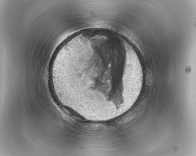 X0000093601024200711121144