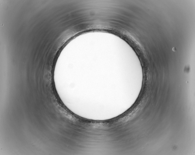 X0000093601025200711121144