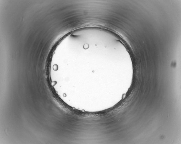 X0000093601026200711121144