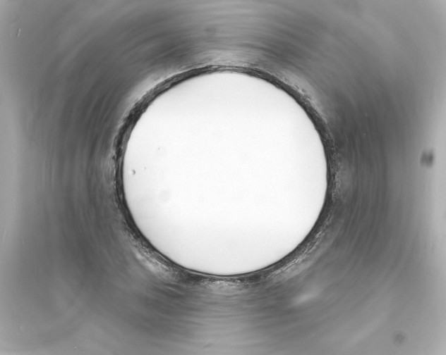 X0000093601027200711121144