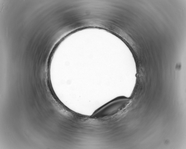 X0000093601028200711121144