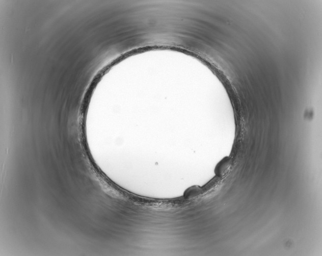 X0000093601029200711121144