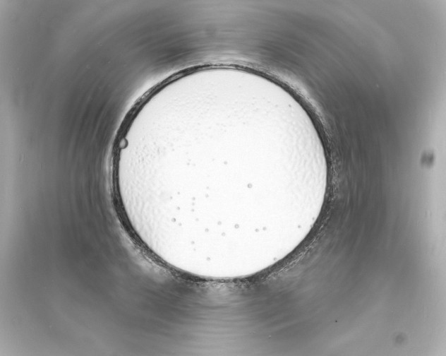 X0000093601032200711121144