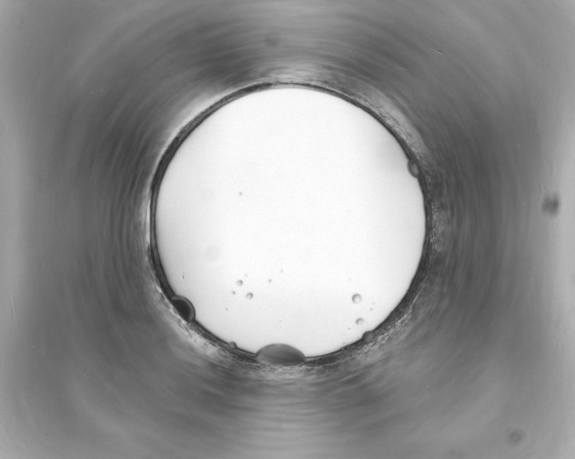 X0000093601036200711121144