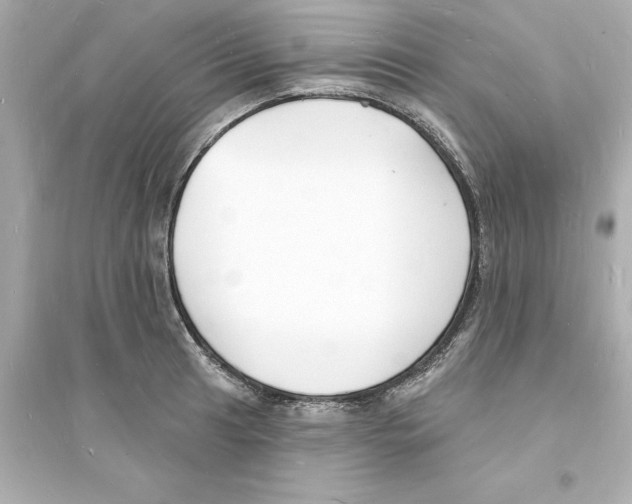 X0000093601041200711121144