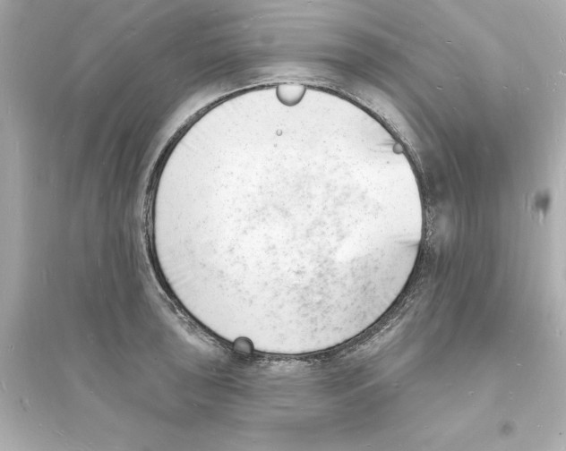 X0000093601043200711121144