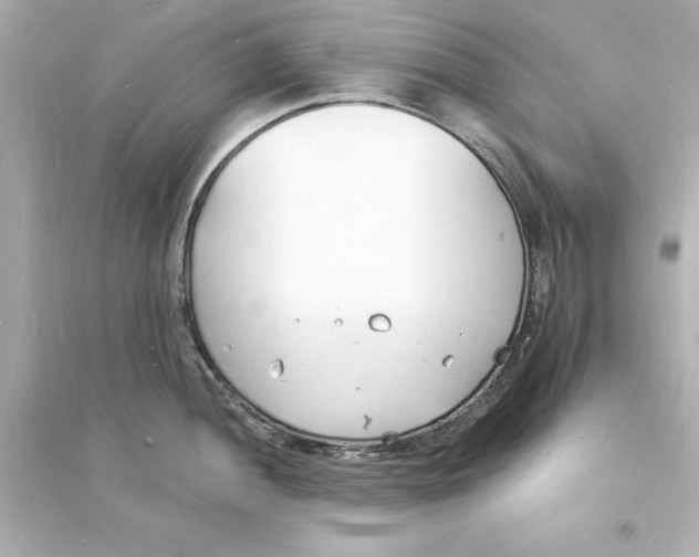 X0000093601052200711121144