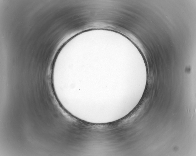 X0000093601053200711121144