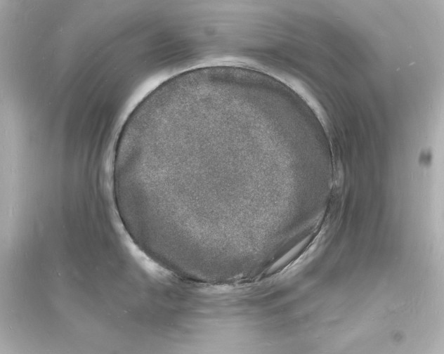 X0000093601054200711121144