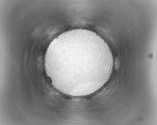 X0000093601059200711121143