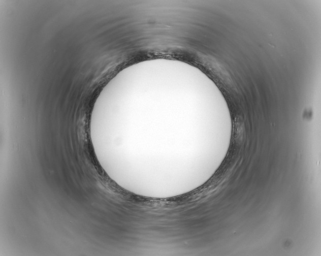 X0000093601060200711121143