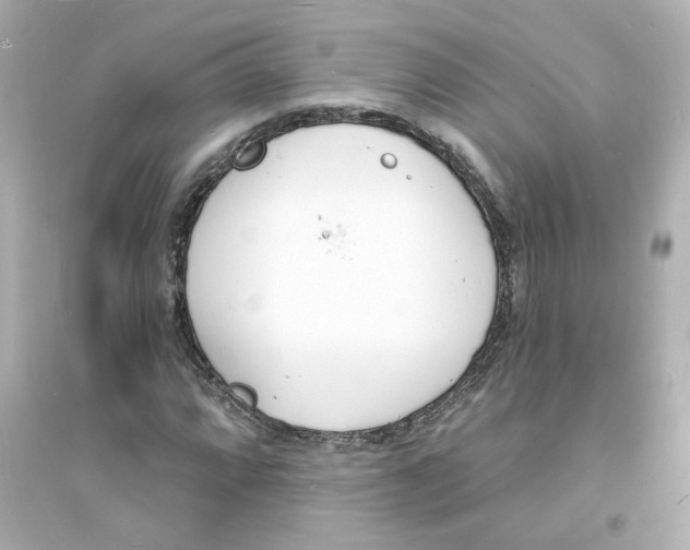 X0000093601064200711121143