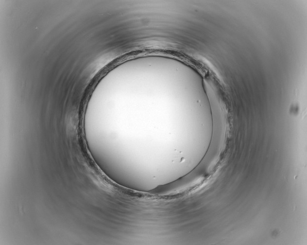 X0000093601065200711121143