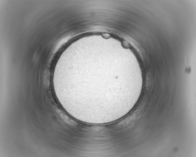 X0000093601067200711121143