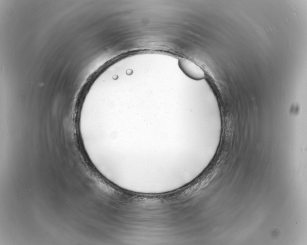 X0000093601071200711121143