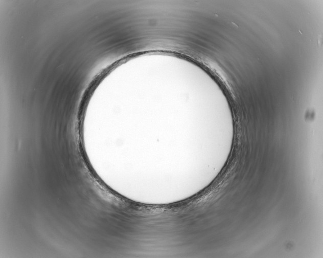 X0000093601072200711121143