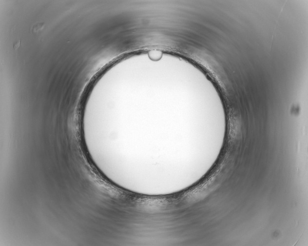 X0000093601074200711121143